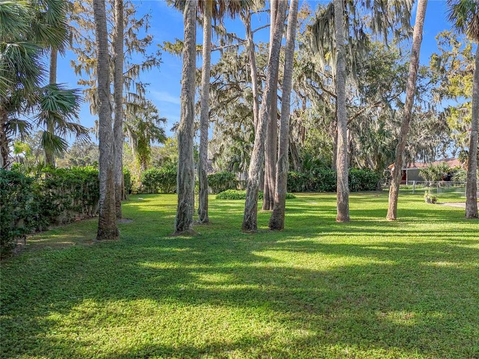 Beautiful fenced back yard