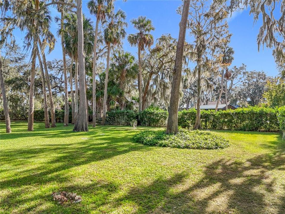 Beautiful fenced back yard