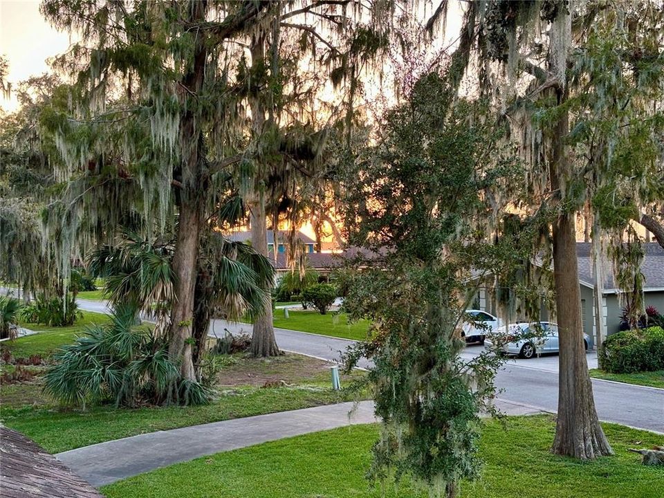 Sunset view over Lake Eustis from Primary Bedroom.