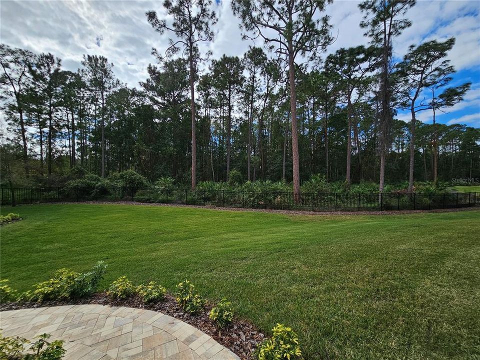 Conservation view in Rear Yard