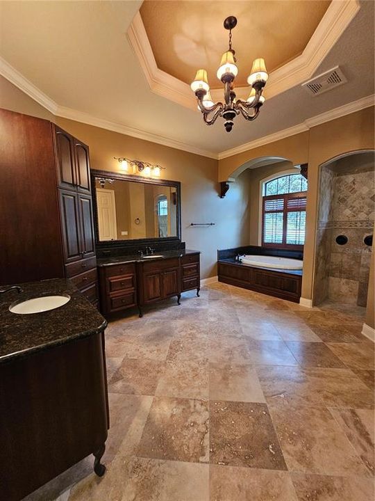 Sprawling Primary Bath with separate vanities, jetted tub and separate shower