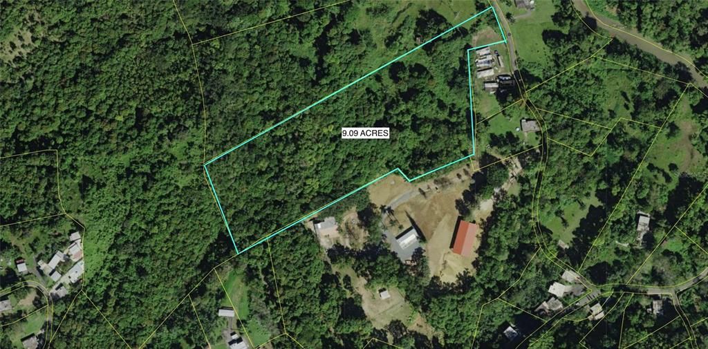 For Sale: $260,000 (9.09 acres)