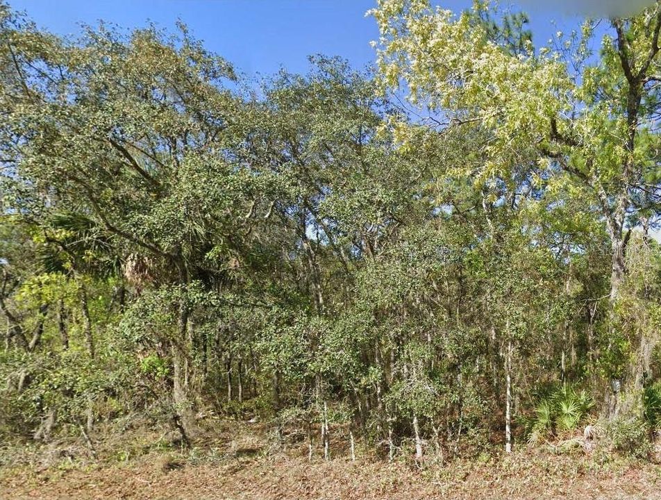 En Venta: $75,000 (1.89 acres)