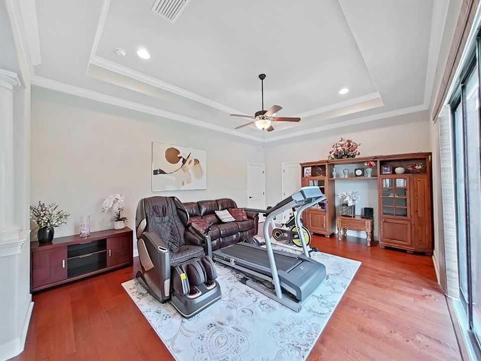 Bonus Room with Tray Ceiling, Sliding Doors, Storage Closet.