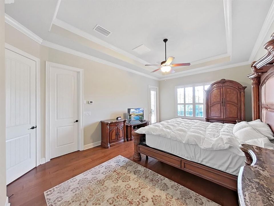 1st Master Bedroom with Tray Ceiling, Door to Pool, Walk-in Closet