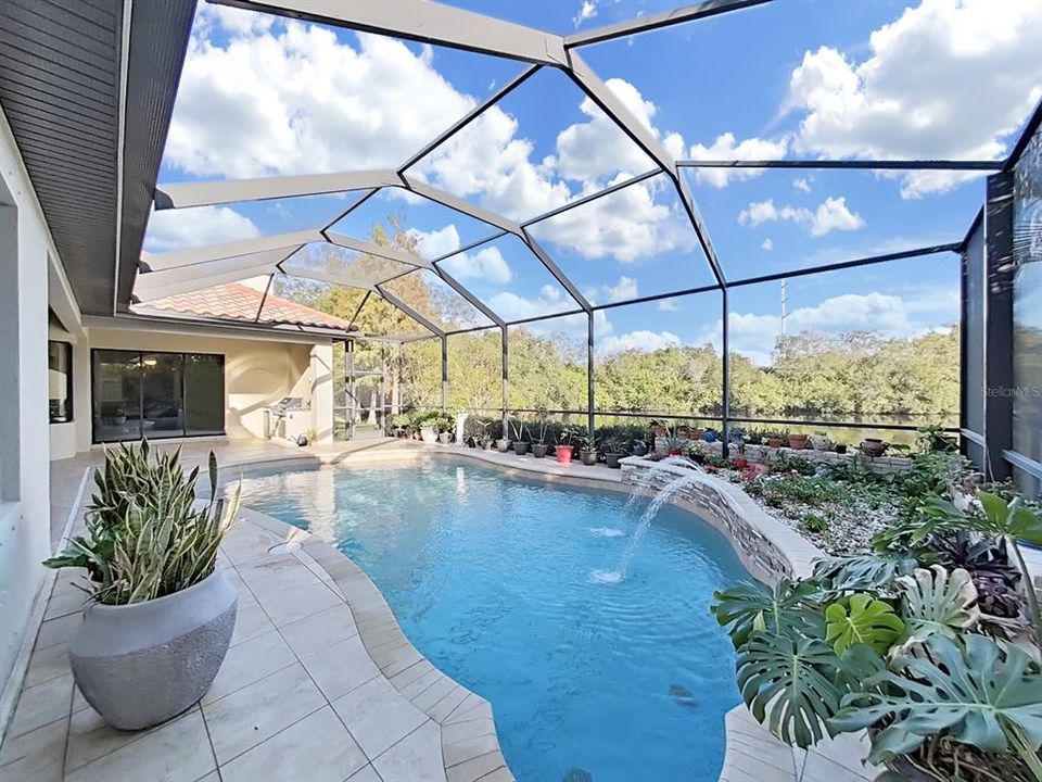 Pool showing Fountain in Sunshelf with Infinity Edge and Planter.