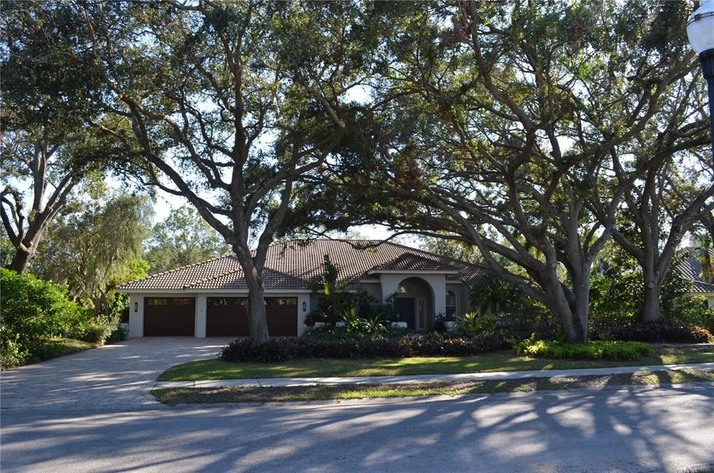 beautiful curb appeal