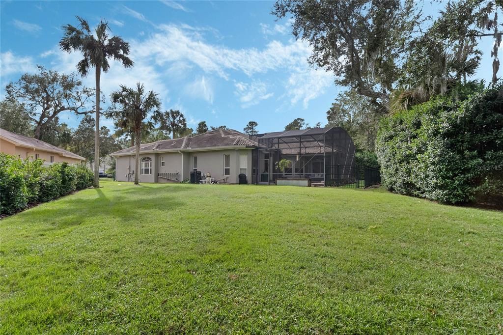 Expansive Backyard