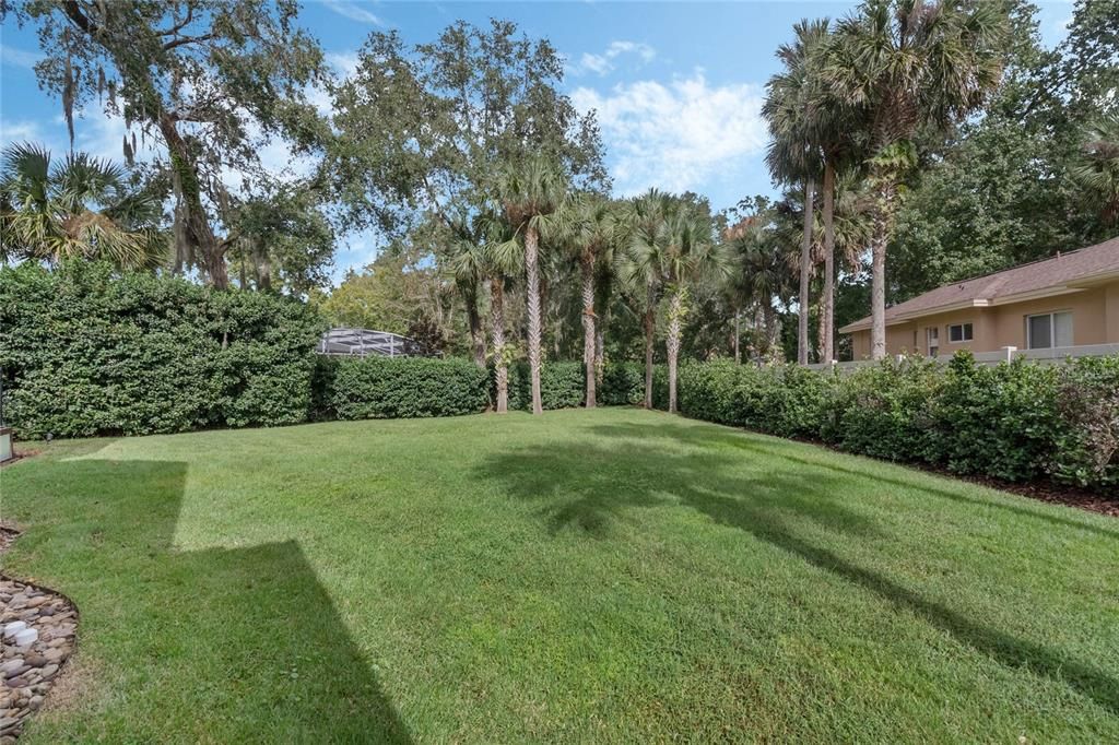 Expansive Backyard