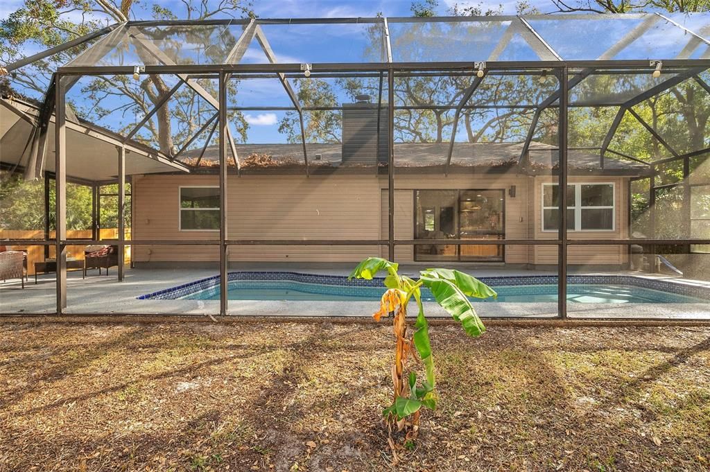 Screened-in Pool