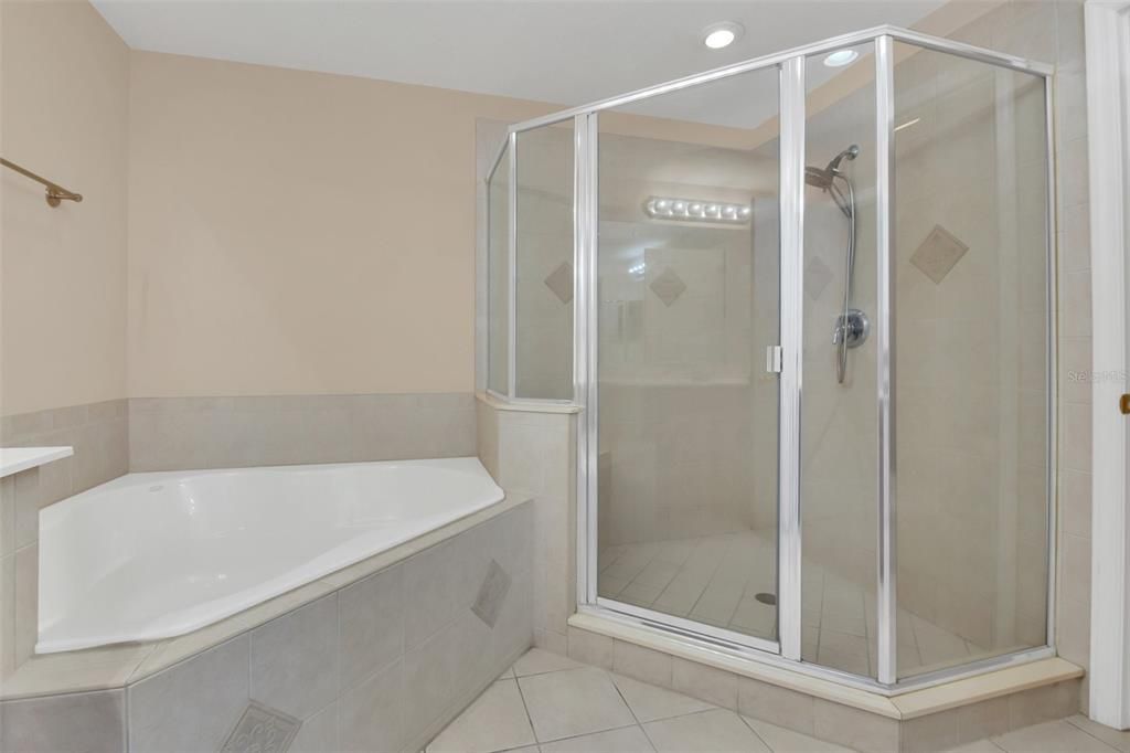 Primary bath tub - separate shower