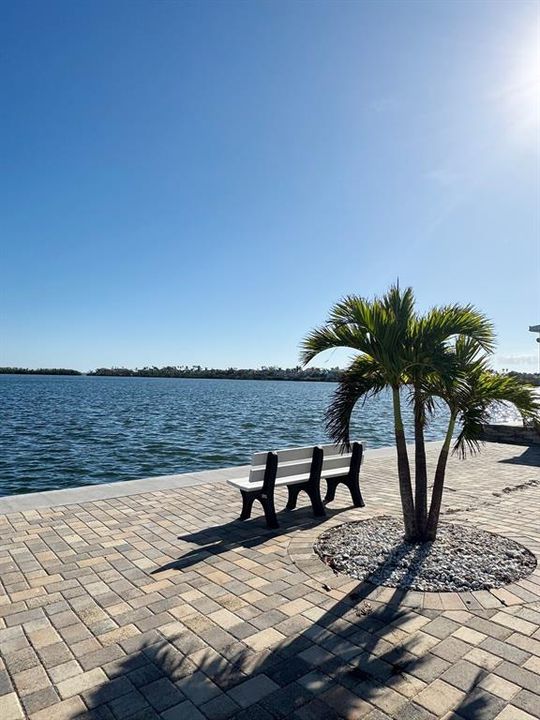 Sarasota Bay access, fishing and views from the marina