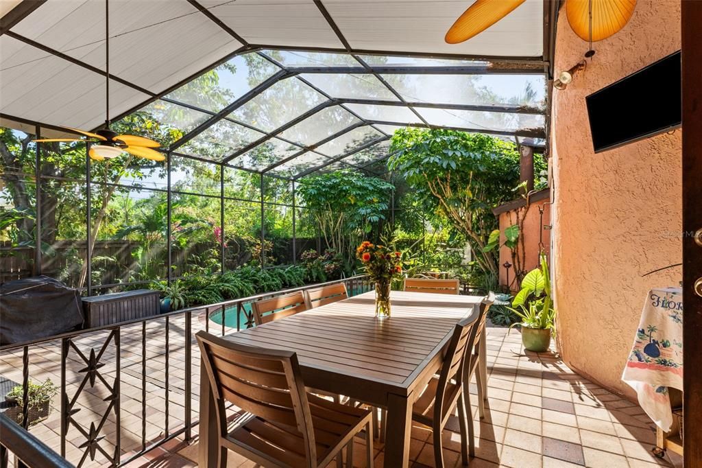 Patio within "Birdcage"