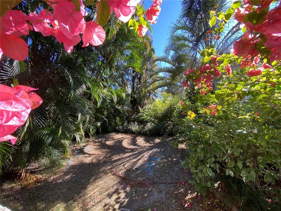 Additional garden behind pool.