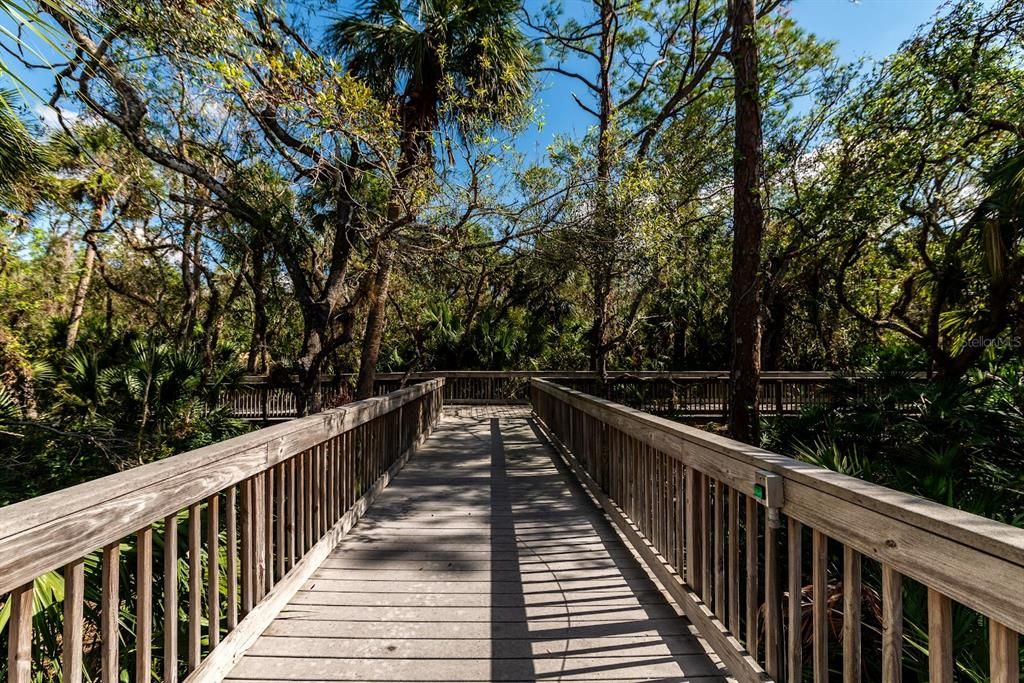 Boardwalk along the Myakka River...