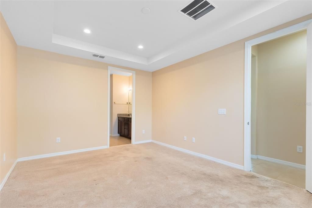 Primary bedroom/1st floor/ tray ceiling