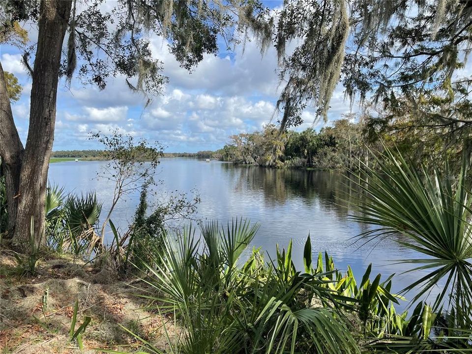 Waterfront View