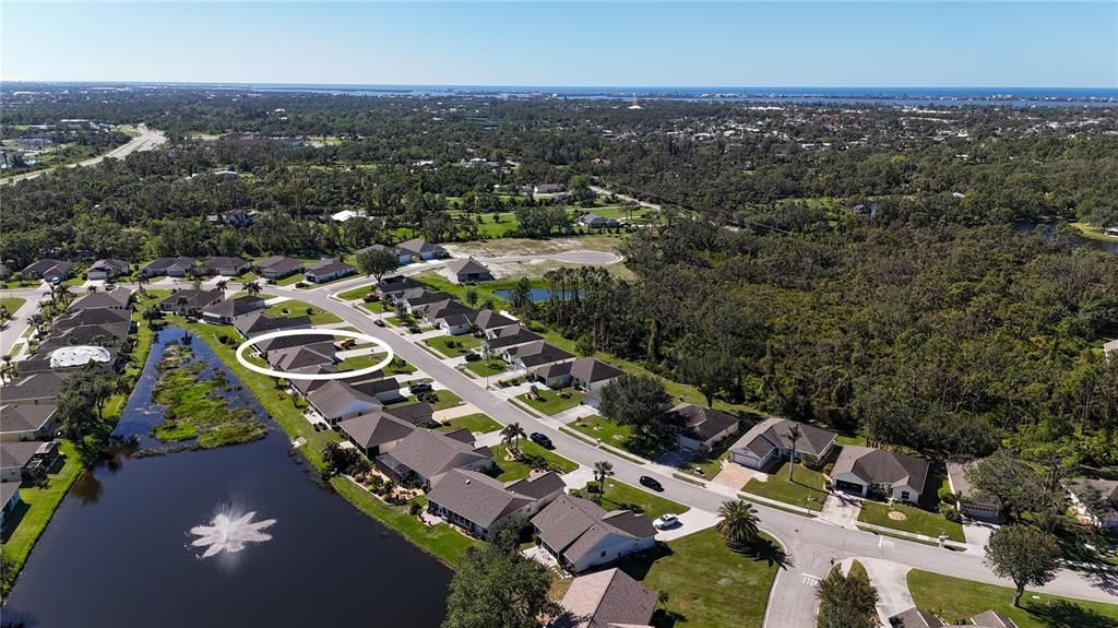 AERIAL VIEW OF POND BEHIND 272 PARK FOREST BLVD