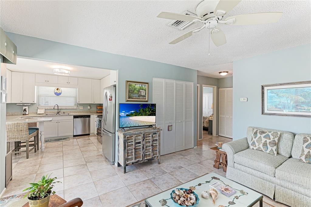 Living room and kitchen