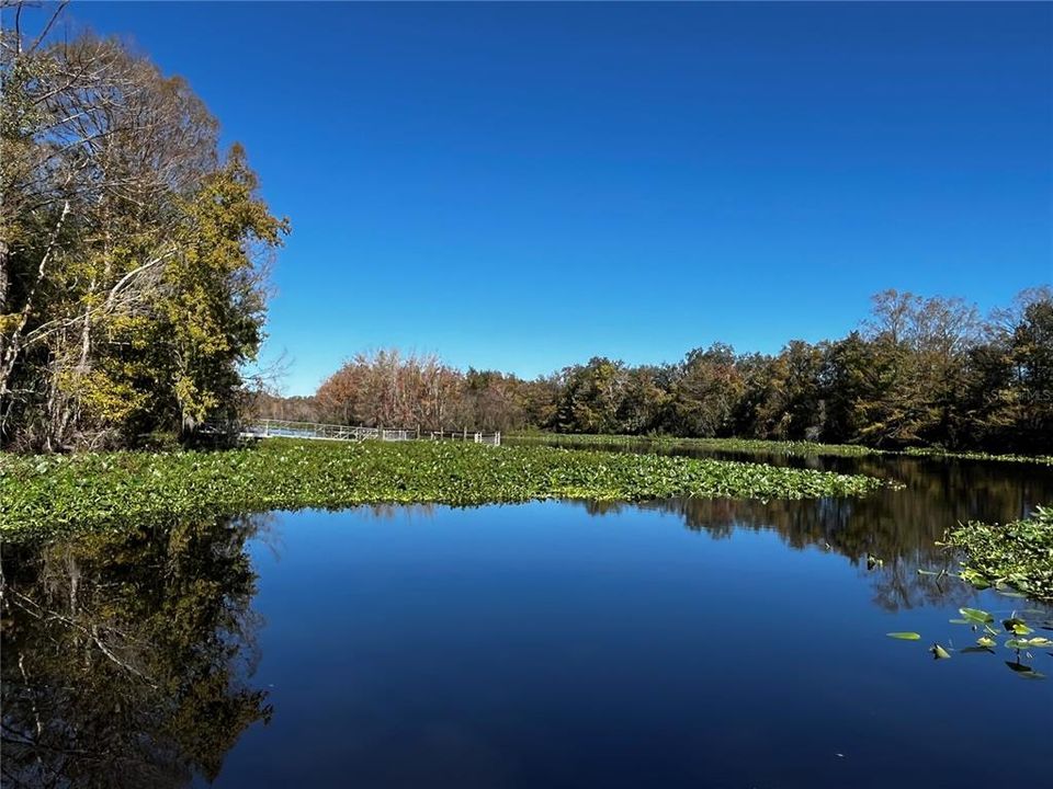 3 minutes to the Eureka boat ramp and public fishing dock on the Ocklawaha River.