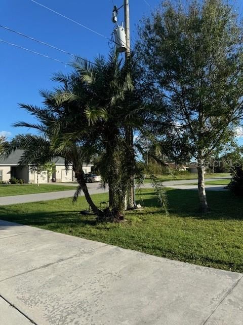 DRIVEWAY AND LANDSCAPE