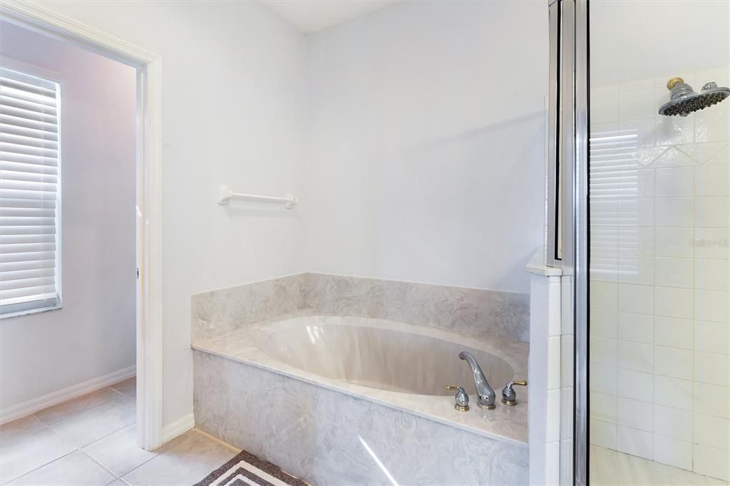 Primary Enusite w/view of tub & water Closet