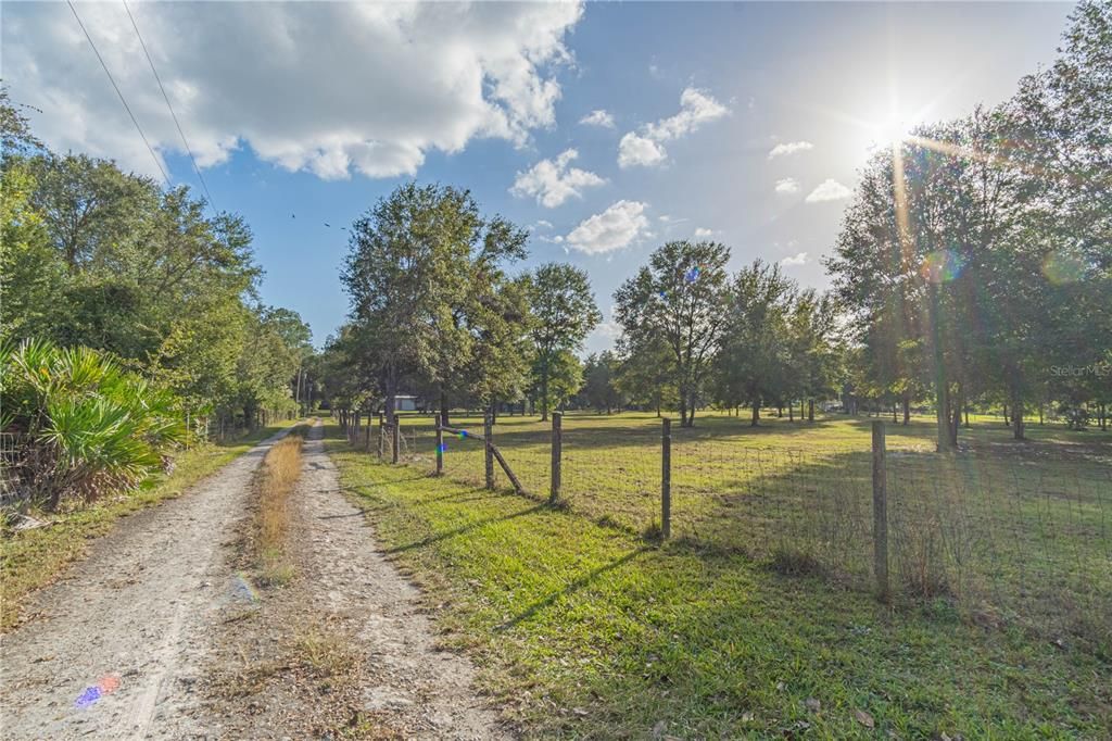 Entry Driveway.