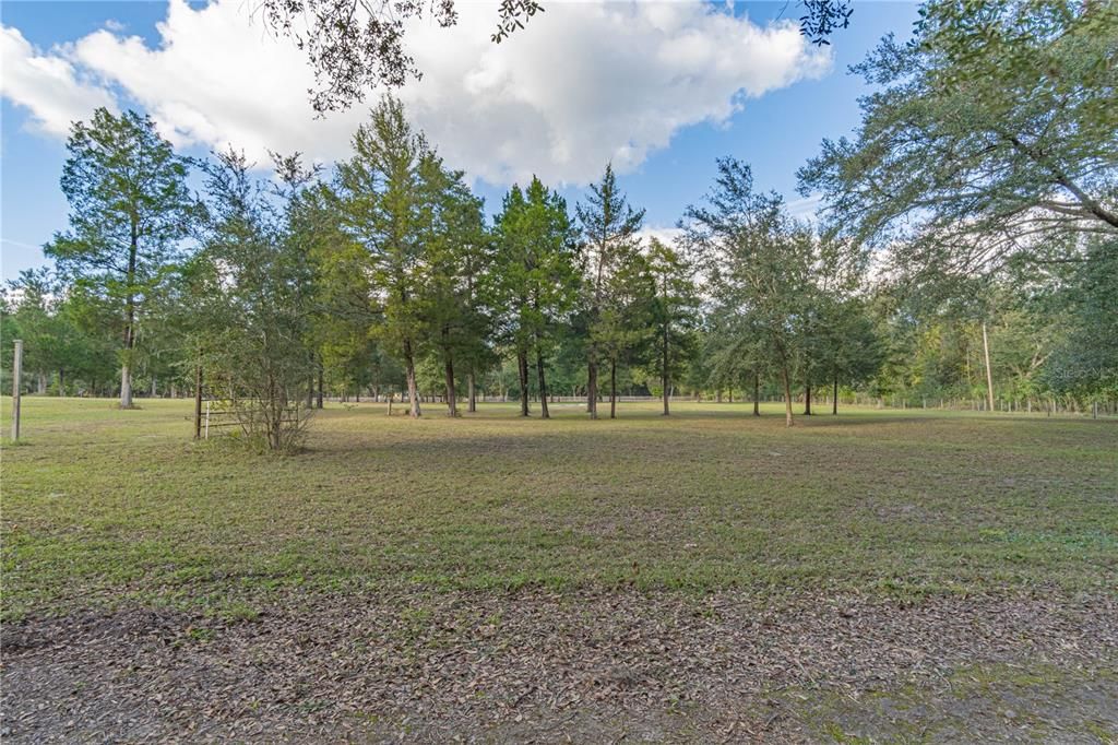 Over 7 Beautiful Acres.