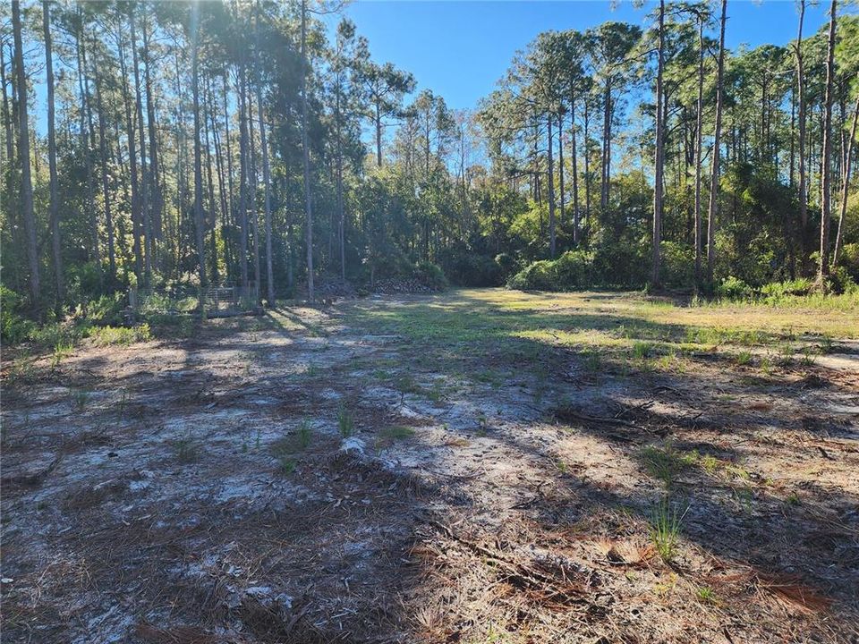 For Sale: $49,900 (1.14 acres)