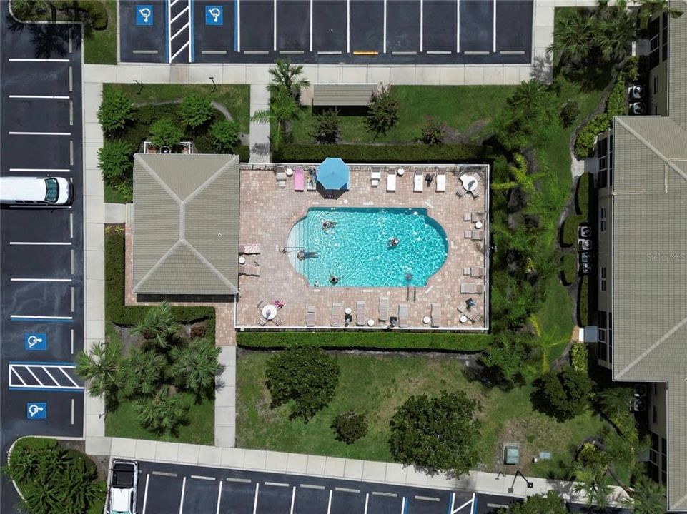 Grand Oak Community Pool