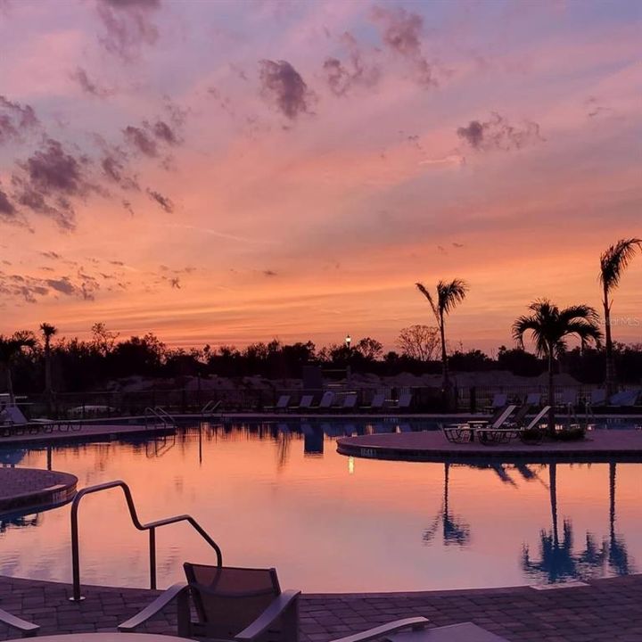 Main pool at dusk