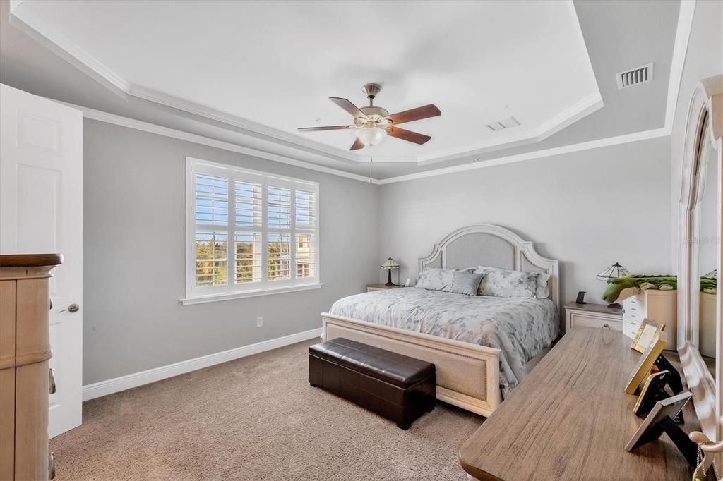 Master Bedroom with Tray Ceiling!