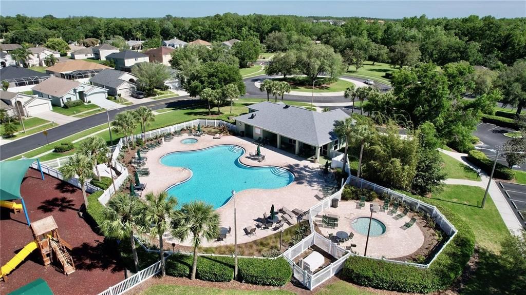 SWIMMING POOL & SPA AREA