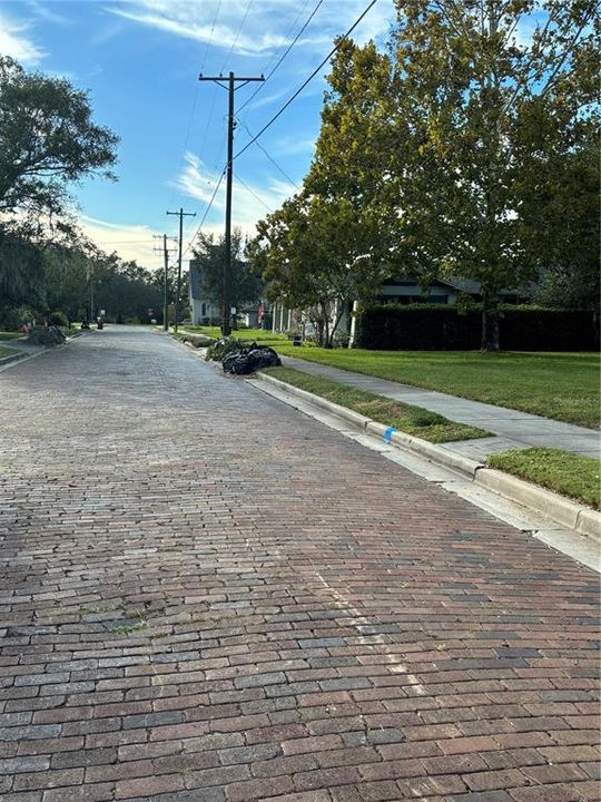 Cobbled street