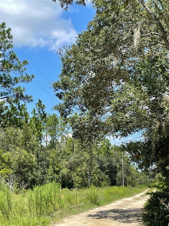 На продажу: $140,000 (5.00 acres)