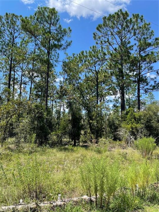 На продажу: $140,000 (5.00 acres)