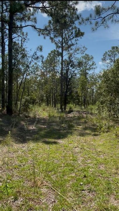 На продажу: $140,000 (5.00 acres)