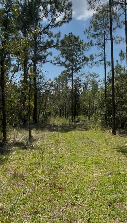 На продажу: $140,000 (5.00 acres)