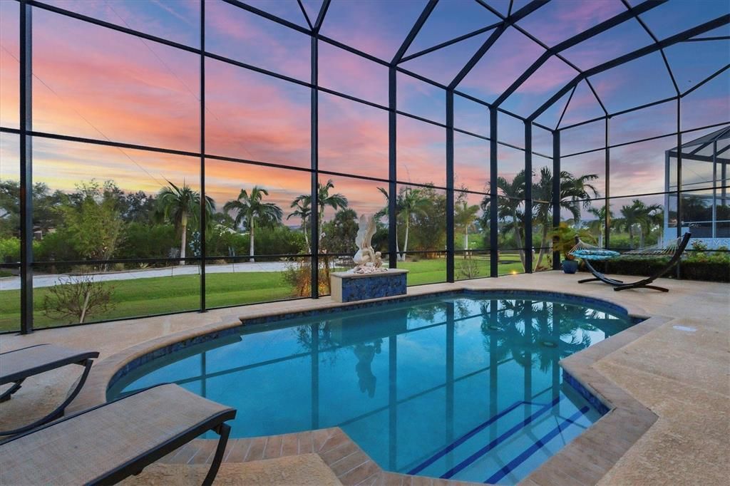 Heated Pool with Cage and water feature