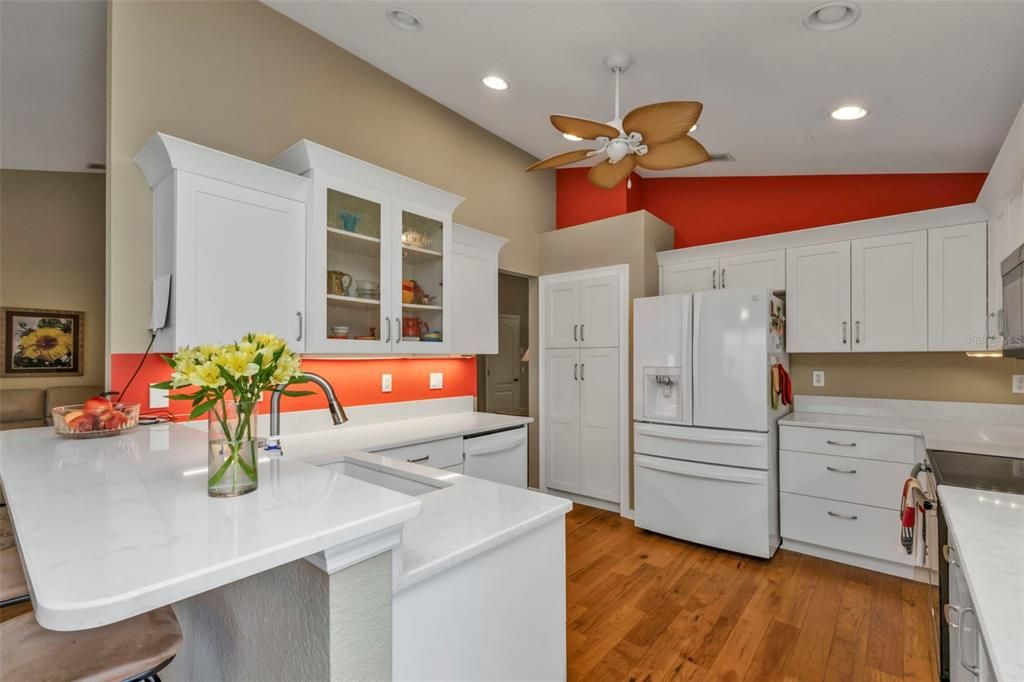 WOOD SHAKER CABINTETS, LOT SO EXTRAS...PANTRY WITH PULL OUT SHELVING, UNDER CABINET LIGHTING