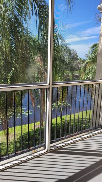 tranquil lanai with water views