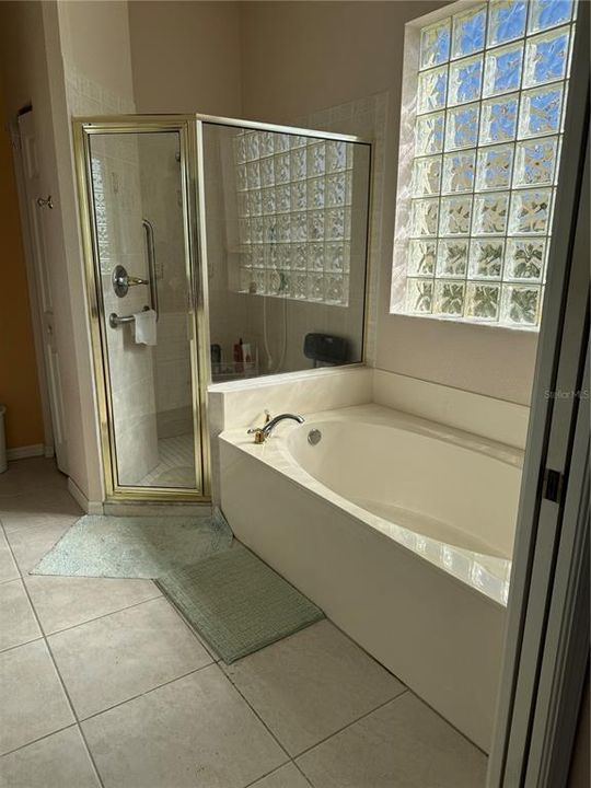 primary bath garden tub with separate shower