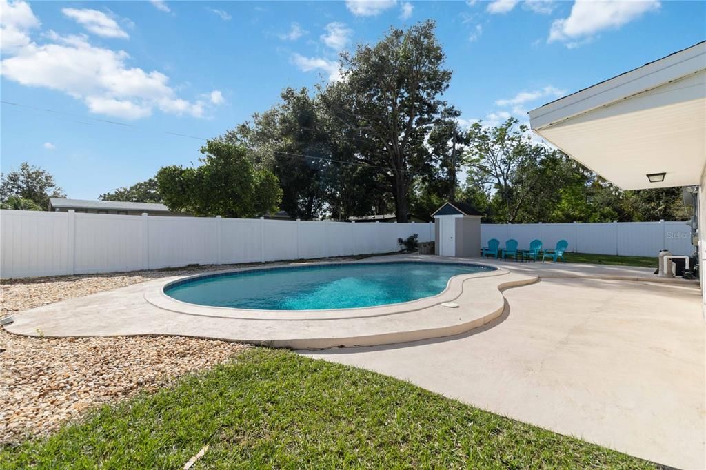 Backyard pool view