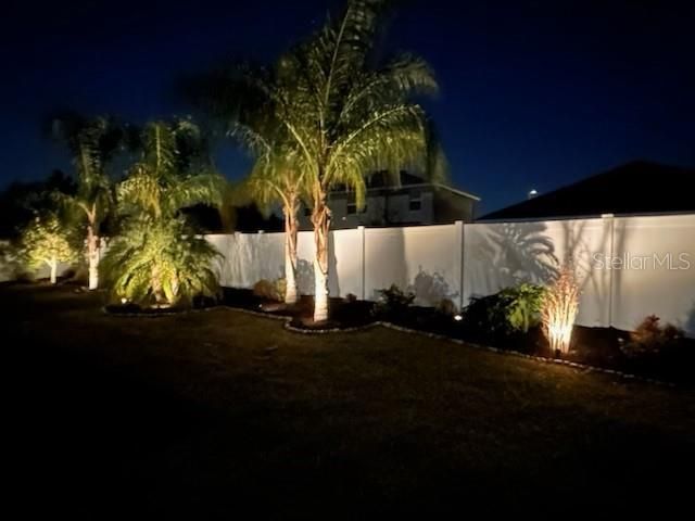 Twilight View of Garden