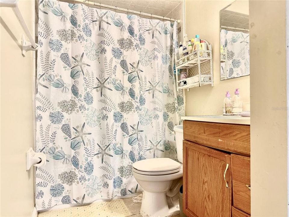 Bathroom in main home