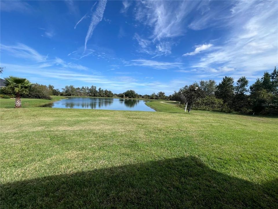 Pond View