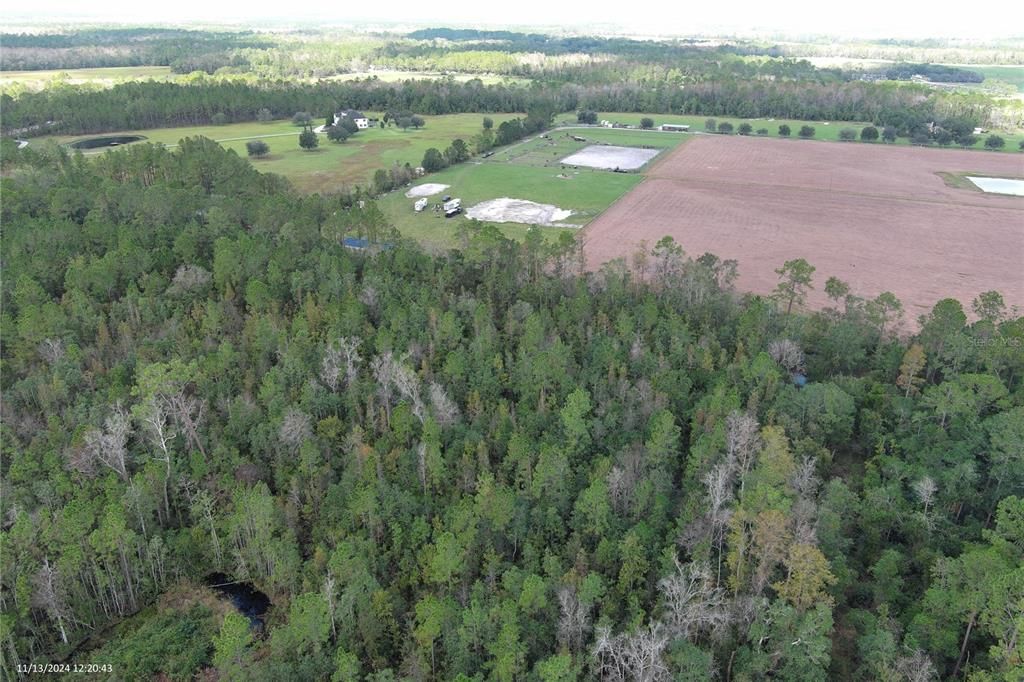 For Sale: $59,900 (0.79 acres)