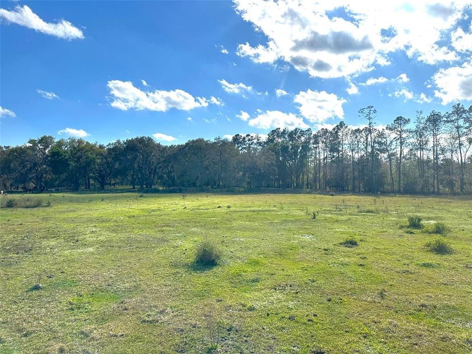 For Sale: $349,900 (26.50 acres)