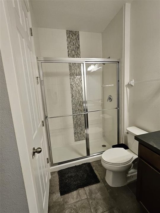 In-Law Suite Bathroom