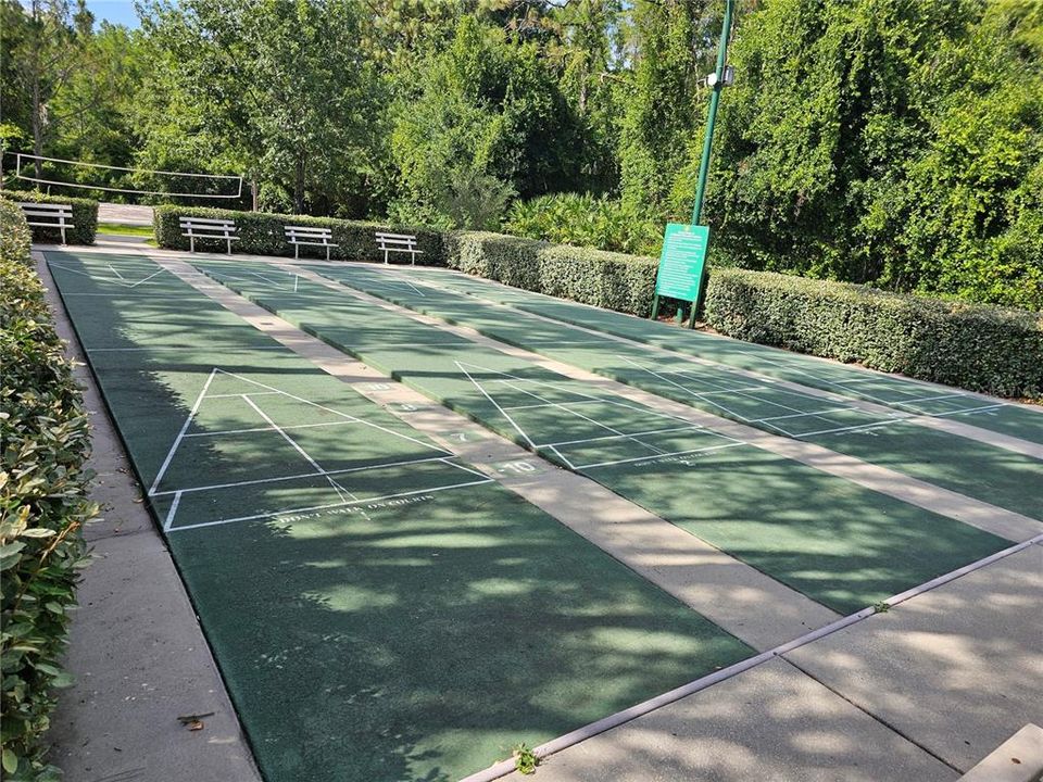 Community Shuffleboard